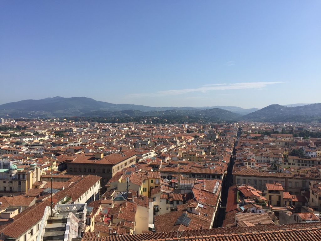 The view from Giotto's Tower!