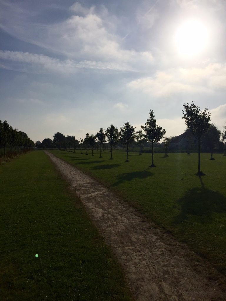 Morning on the cycling path from Heemskerk to our next stop: Haarlem.